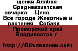 щенки Алабая (Среднеазиатская овчарка) › Цена ­ 15 000 - Все города Животные и растения » Собаки   . Приморский край,Владивосток г.